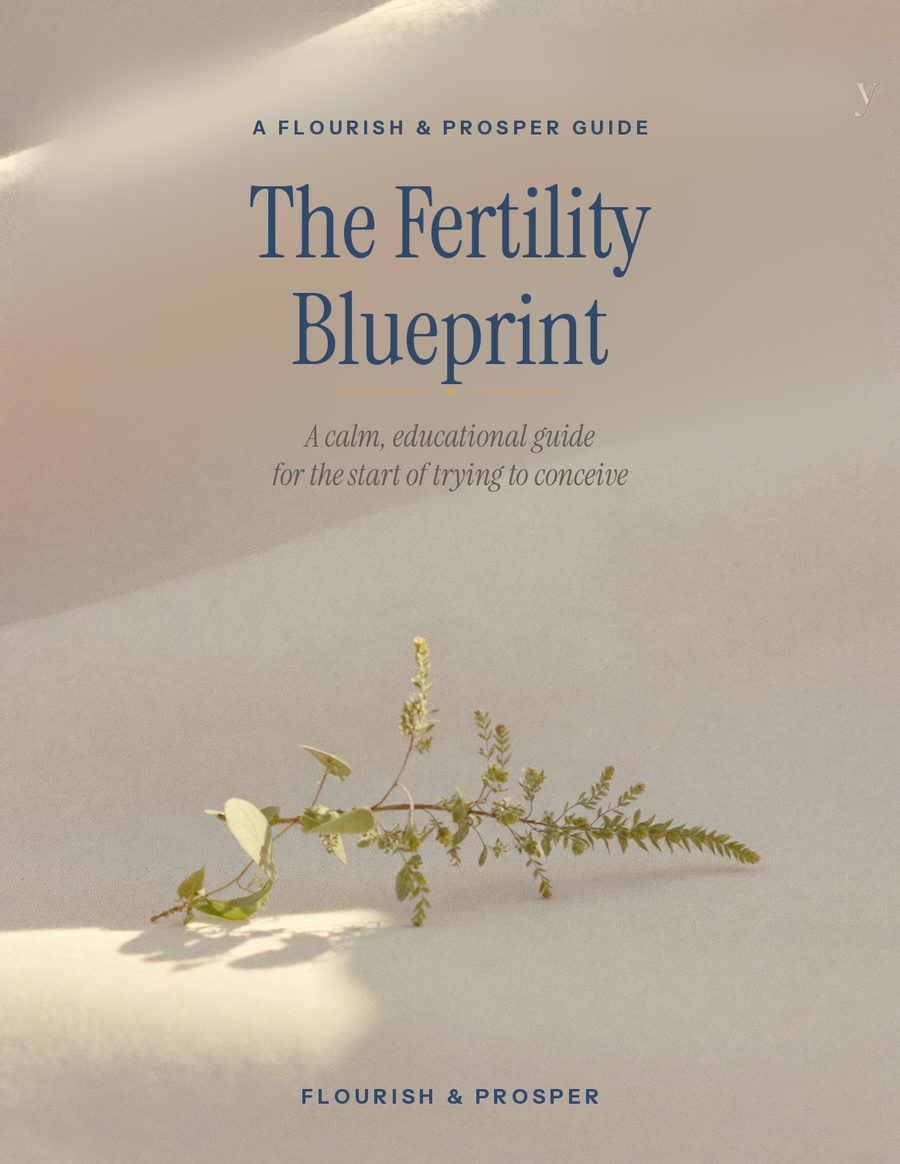 The Fertility Blueprint — guide cover