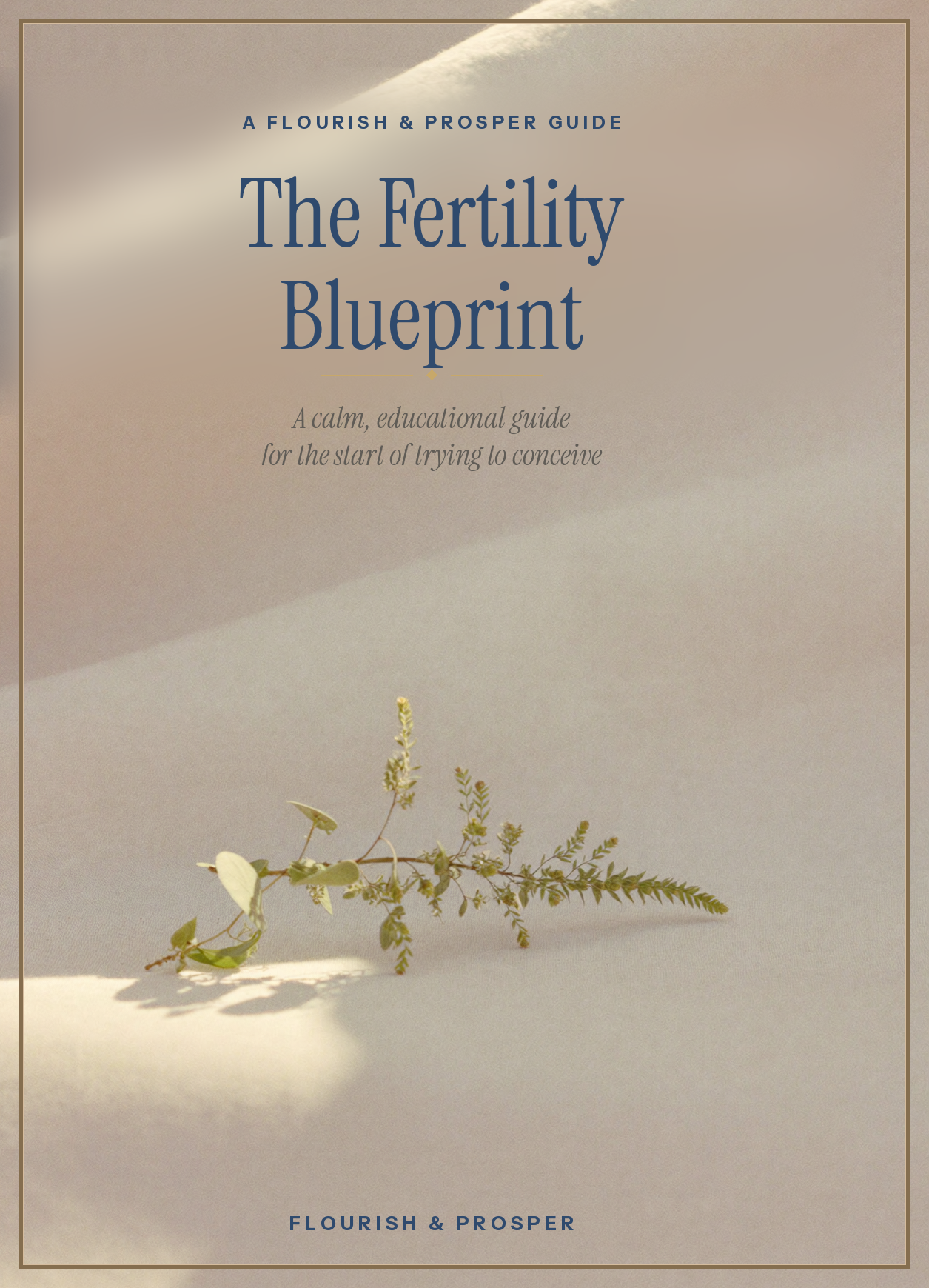 The Fertility Blueprint cover